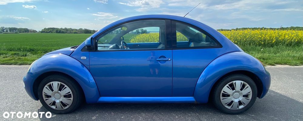 Volkswagen New Beetle - 10