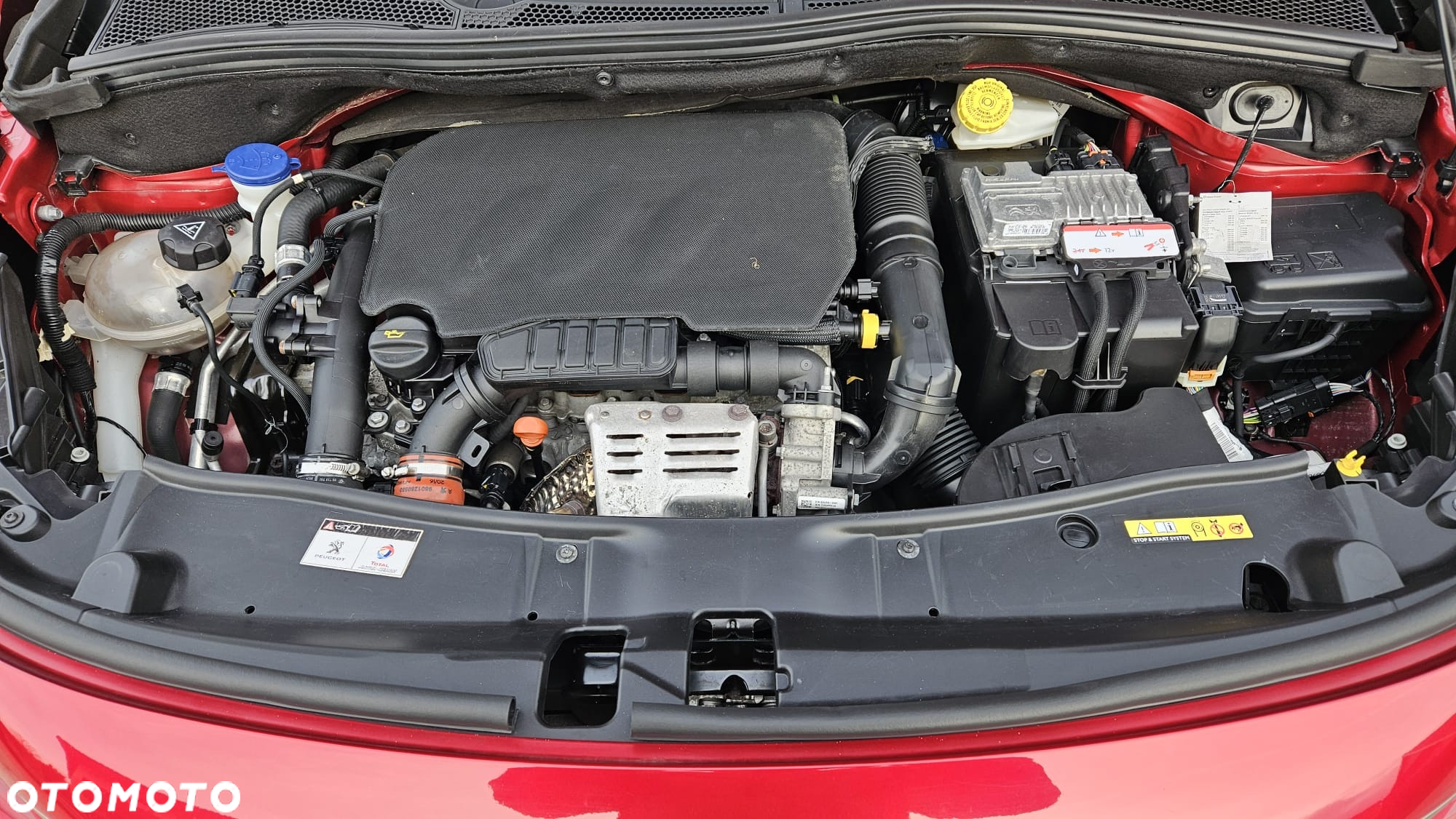 Peugeot 2008 PureTech 110 Stop&Start Allure - 8