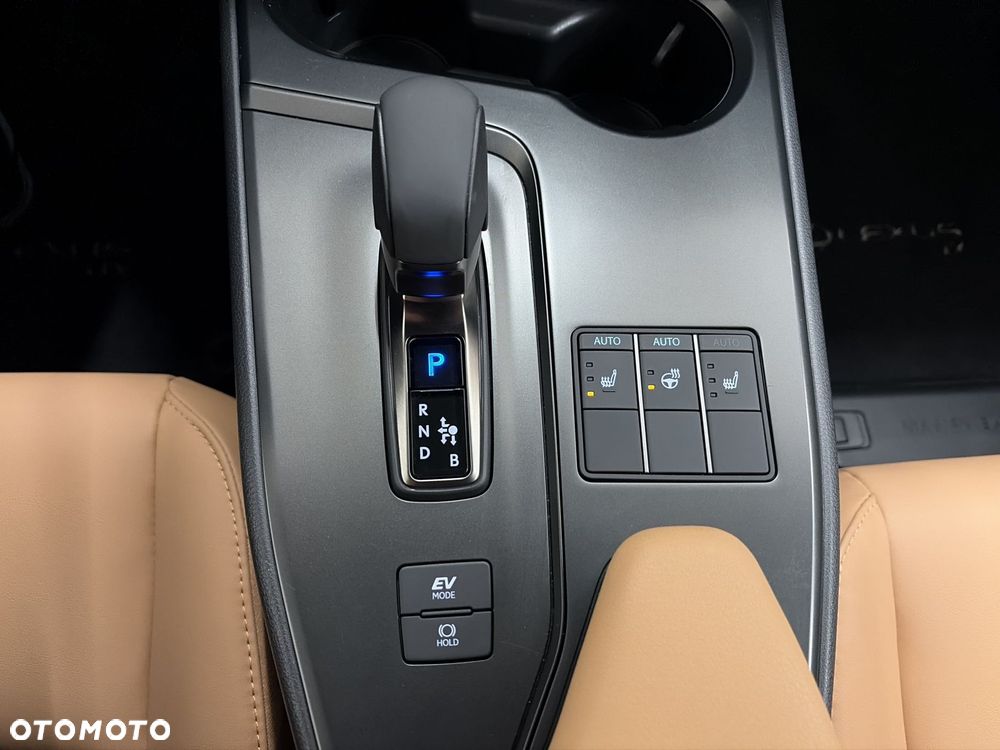 Lexus UX 300h F Sport Design - 19