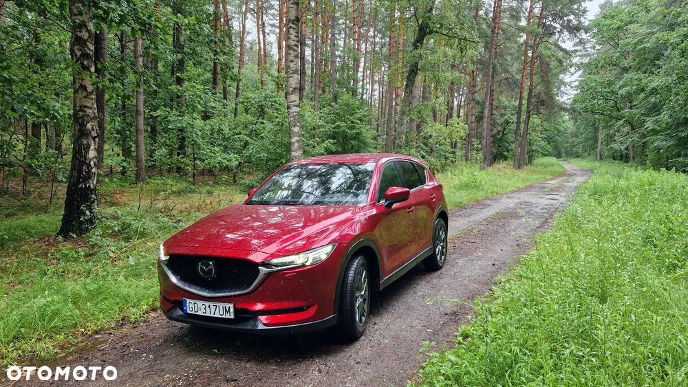 Mazda CX-5 2.2 D Skydream AWD - 1