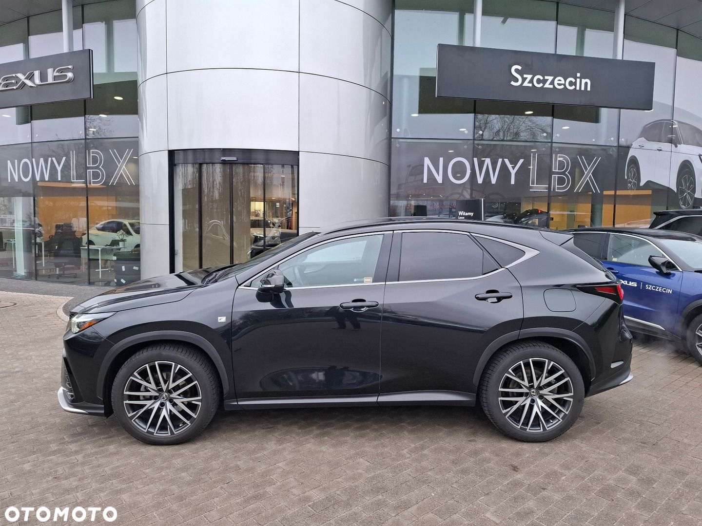 Lexus NX - 2