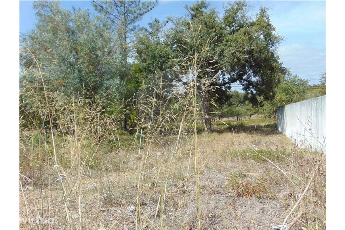 Terreno T0 para venda - Grande imagem: 2/3