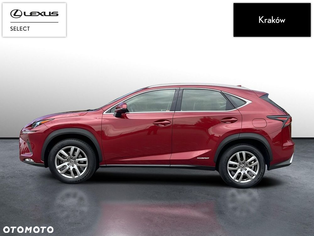 Lexus NX 300h Business Edition AWD - 2
