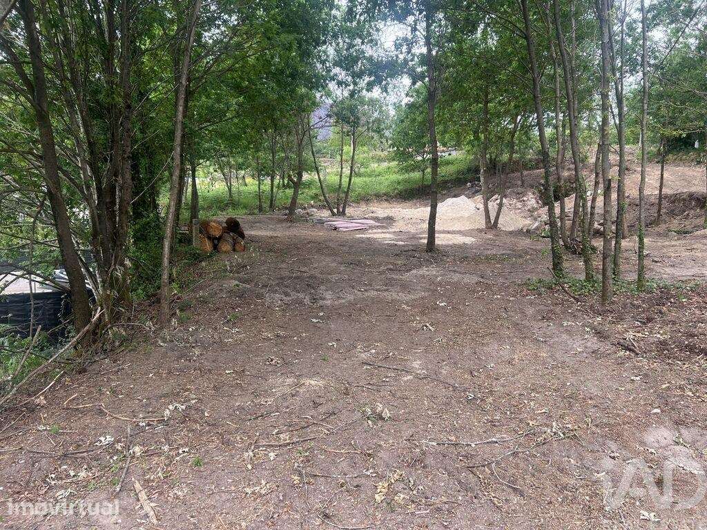 Terreno para construção em Carvalhais e Candal - Grande imagem: 5/6