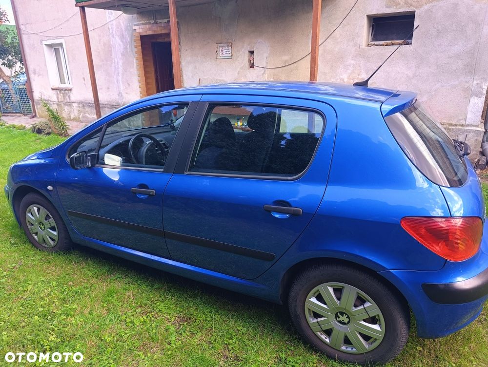 Peugeot 307 - 8