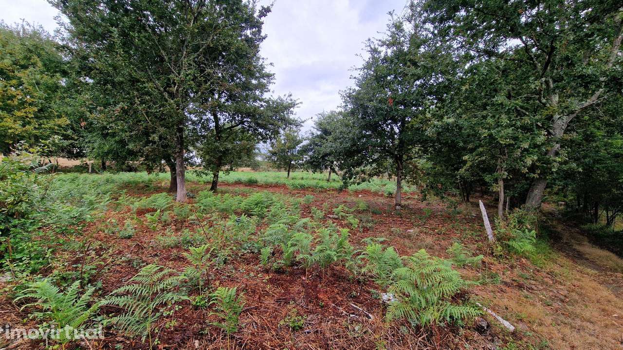 Terreno plano, com 2152m2, localizado a 5 minutos do centro de S. Pedr - Grande imagem: 5/9