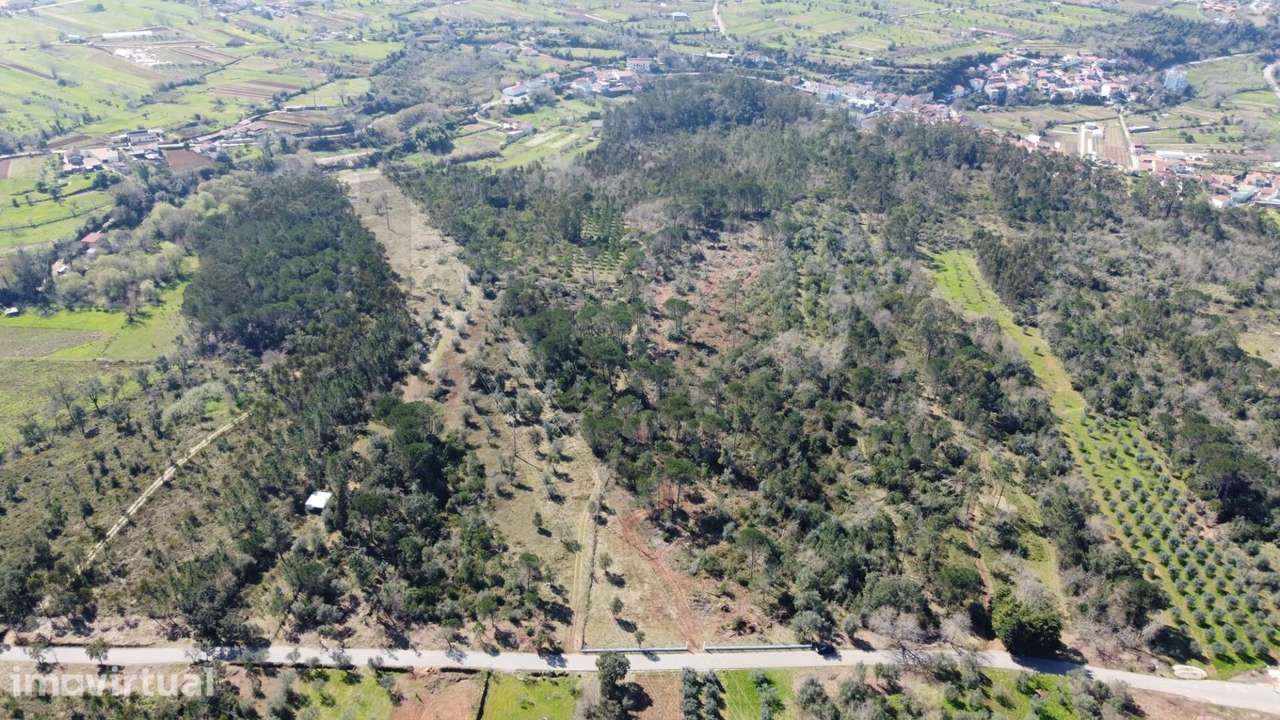 Terreno com 19.130 m2 e frente de estrada – Orelhudo, Cernache | A pou - Grande imagem: 3/11