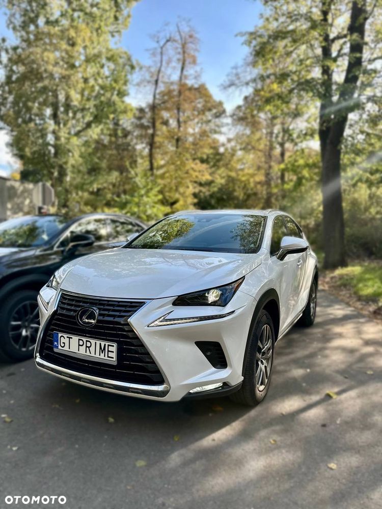 Lexus NX 300h - 1