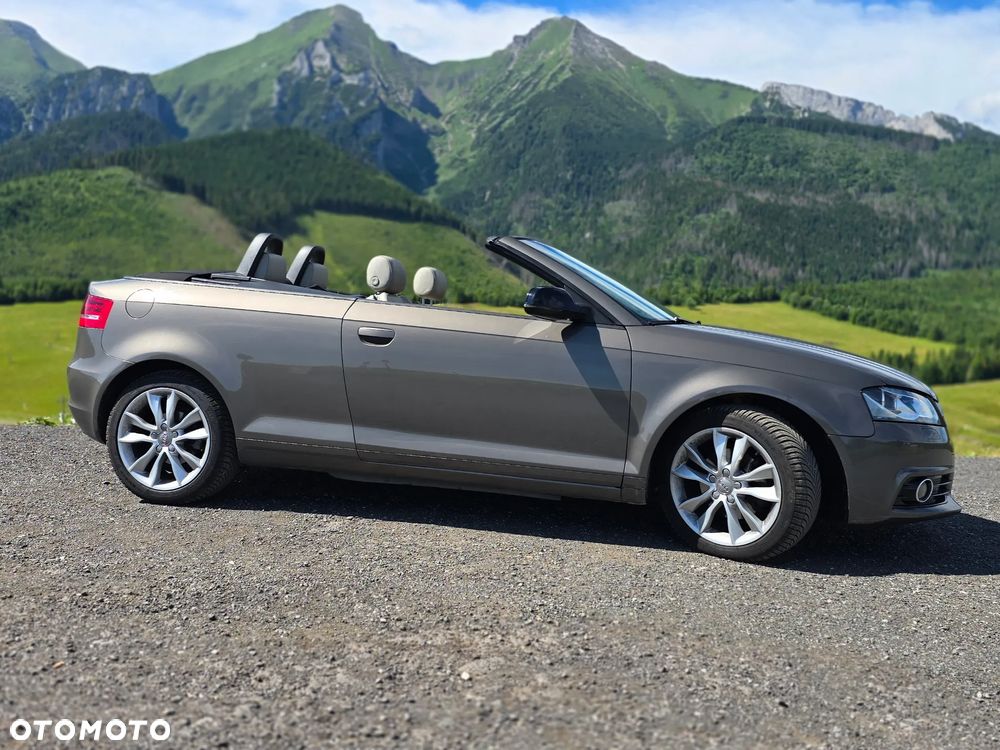 Audi A3 Cabrio 2.0 TDI DPF S tronic Attraction - 8