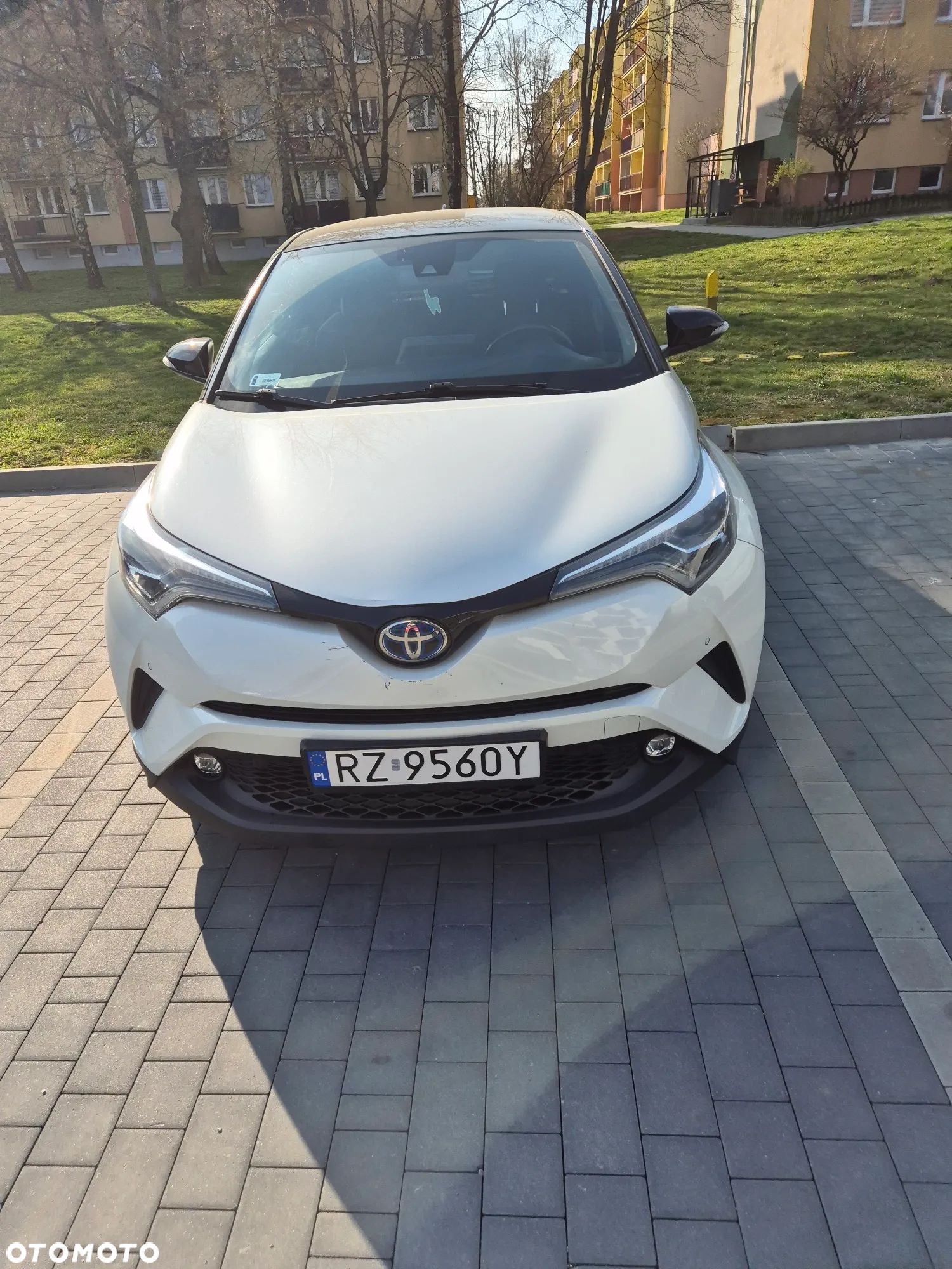 Toyota C-HR - 1