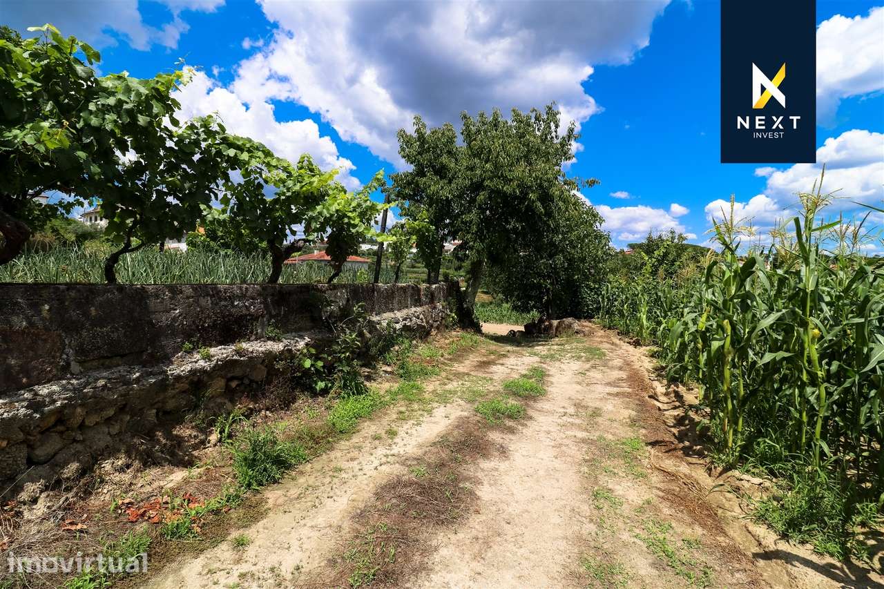 Quintinha  Venda em São João de Lourosa,Viseu - Grande imagem: 2/15