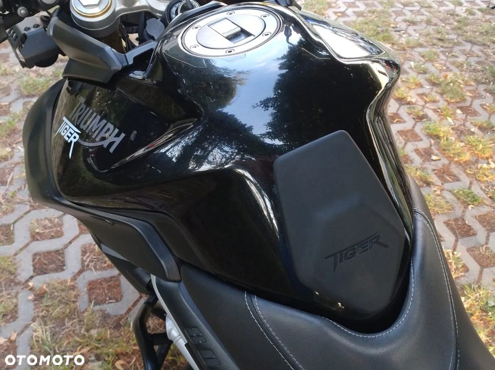 Triumph Tiger - 24