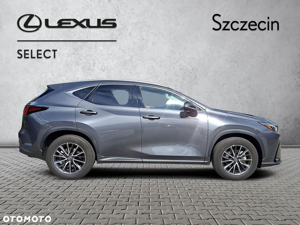 Lexus NX 350h Prestige 2WD - 6