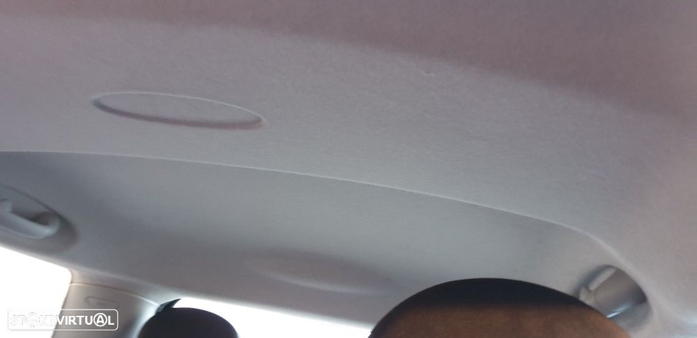 TECTO INTERIOR MINI MINI 2010 - 1