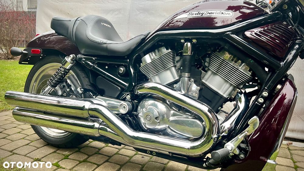 Harley-Davidson V-Rod Street Rod - 8