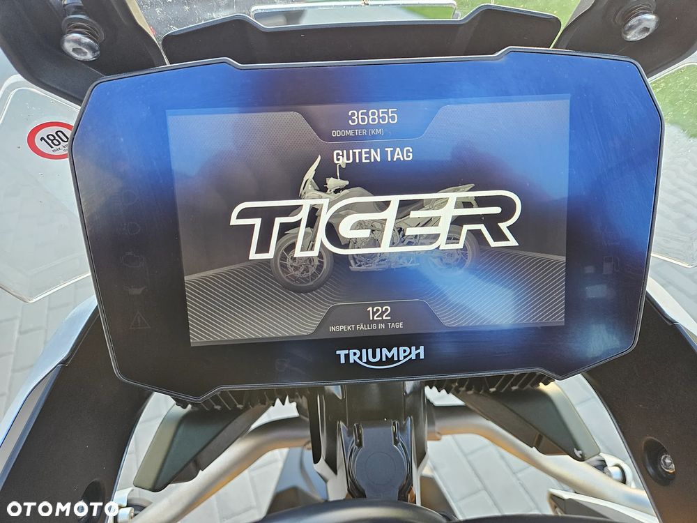 Triumph Tiger - 17