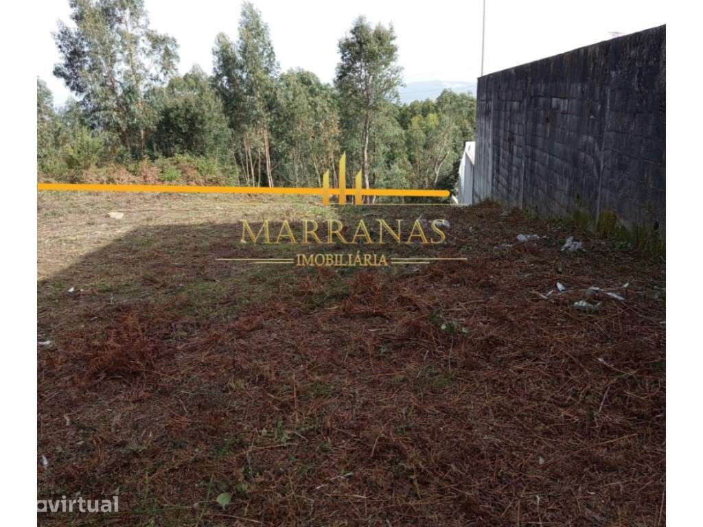 Terreno para construção em Baltar - 5.900 m² com projeto aprovado - Grande imagem: 2/5