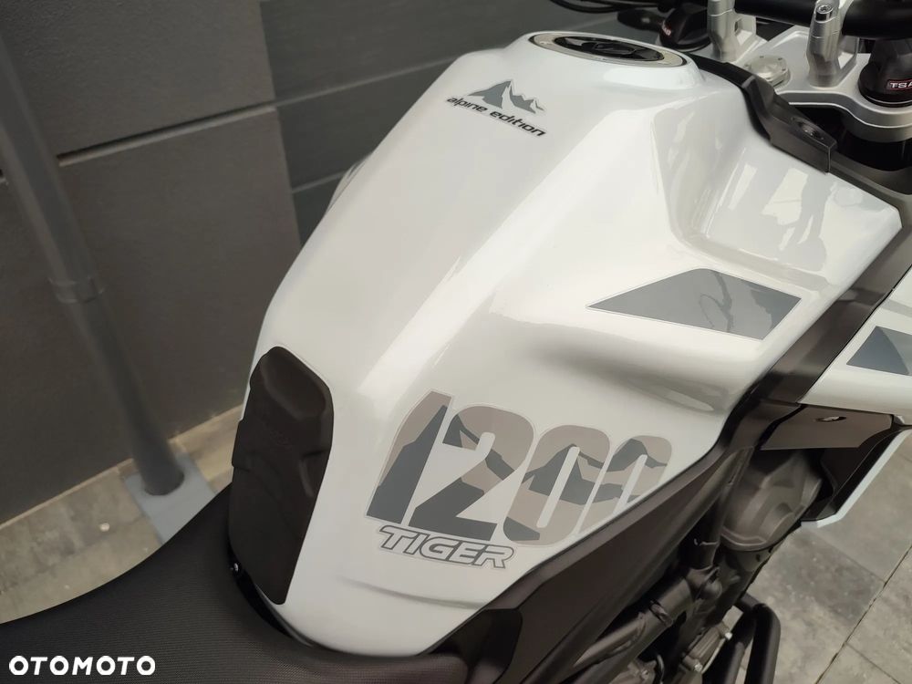 Triumph Tiger - 14