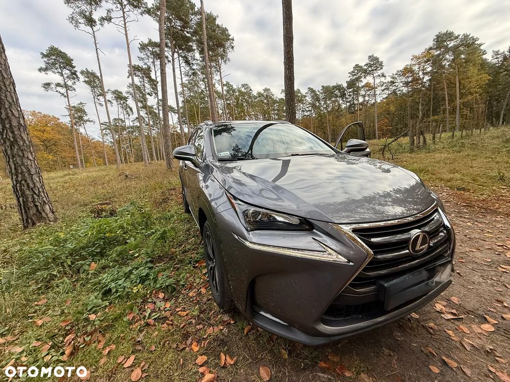 Lexus NX - 13