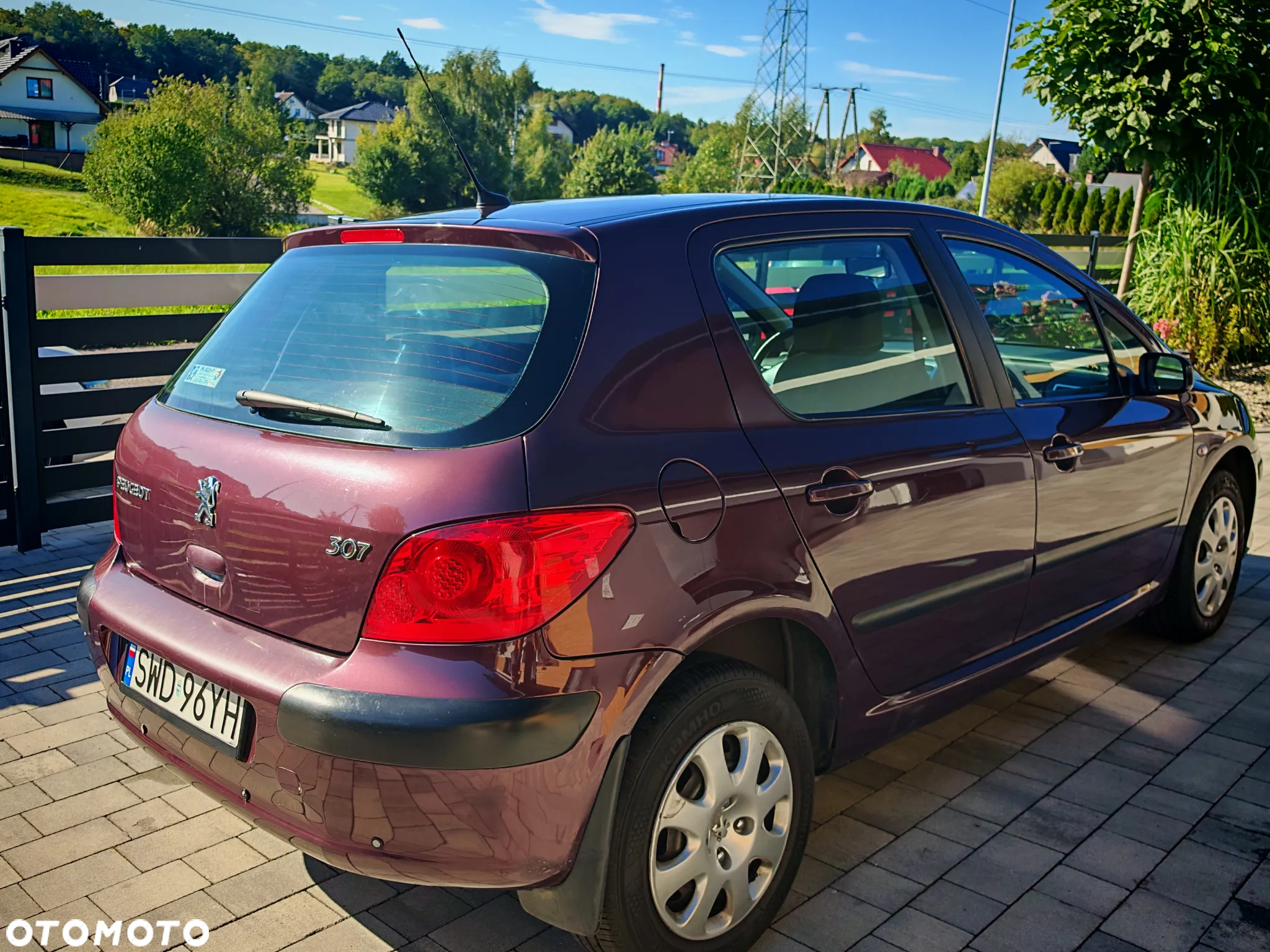 Peugeot 307 - 5