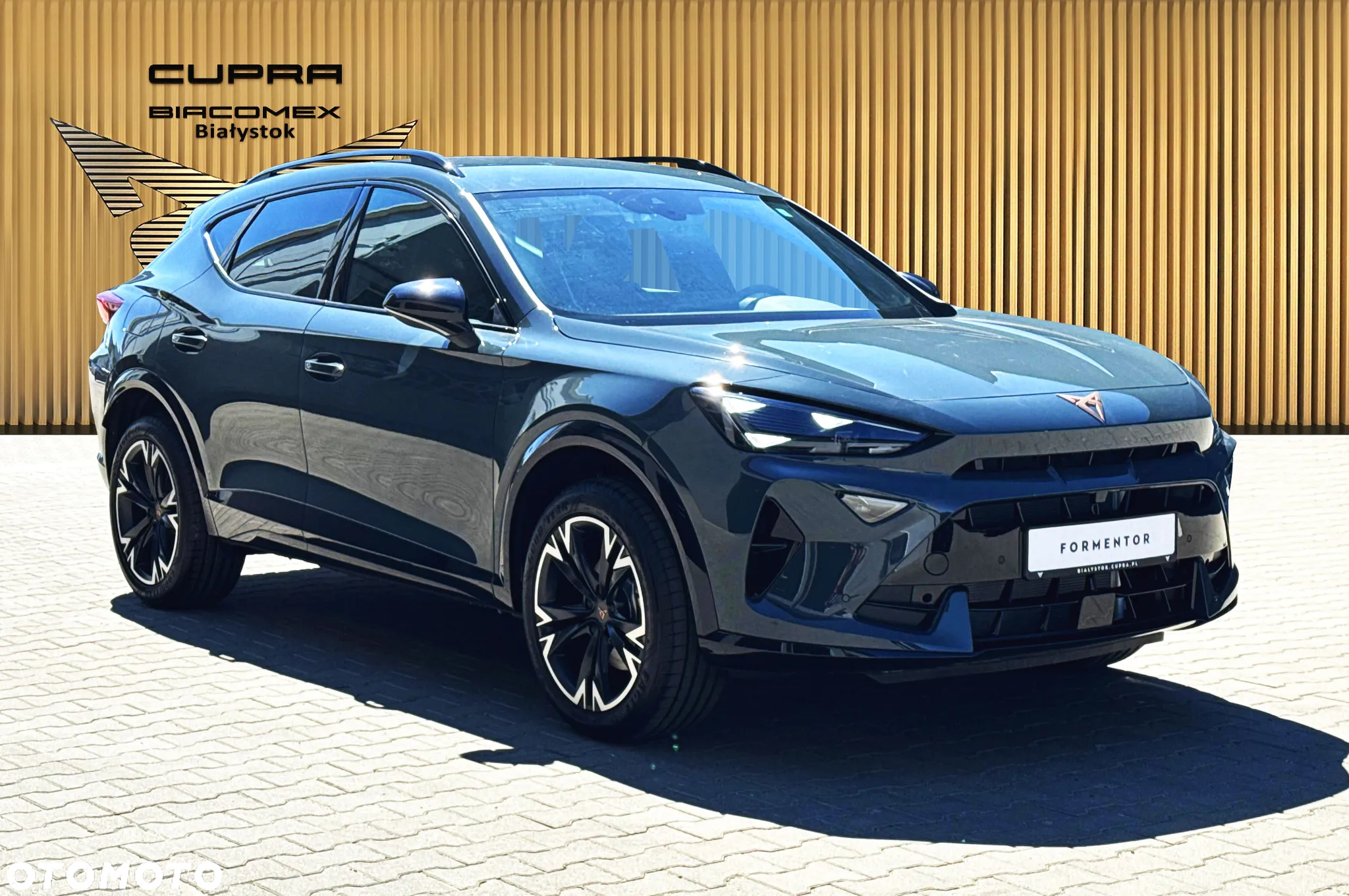 Cupra Formentor 1.5 TSI DSG - 8