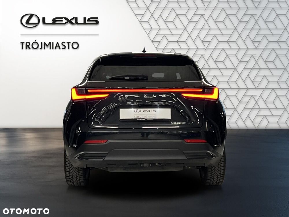 Lexus NX 350h Prestige AWD - 6
