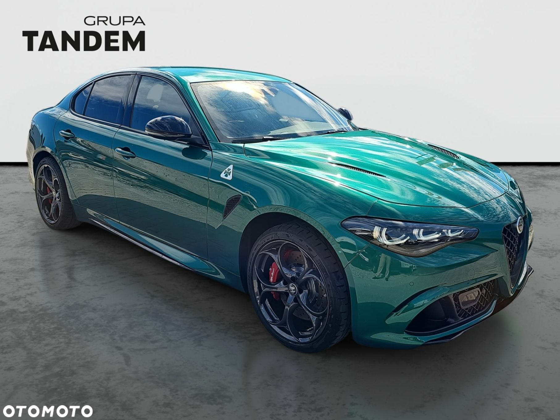 Alfa Romeo Giulia 2.9 Bi Turbo V6 Quadrifoglio - 3