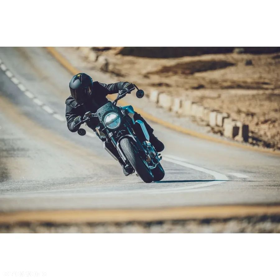 Husqvarna Svartpilen - 11