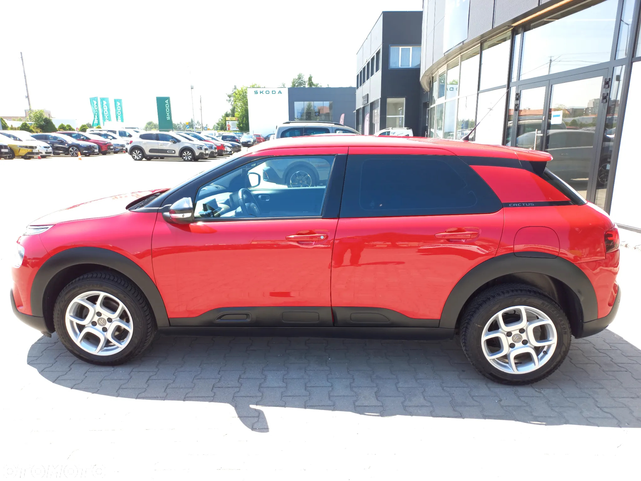 Citroën C4 Cactus 1.2 PureTech Feel S&S - 8