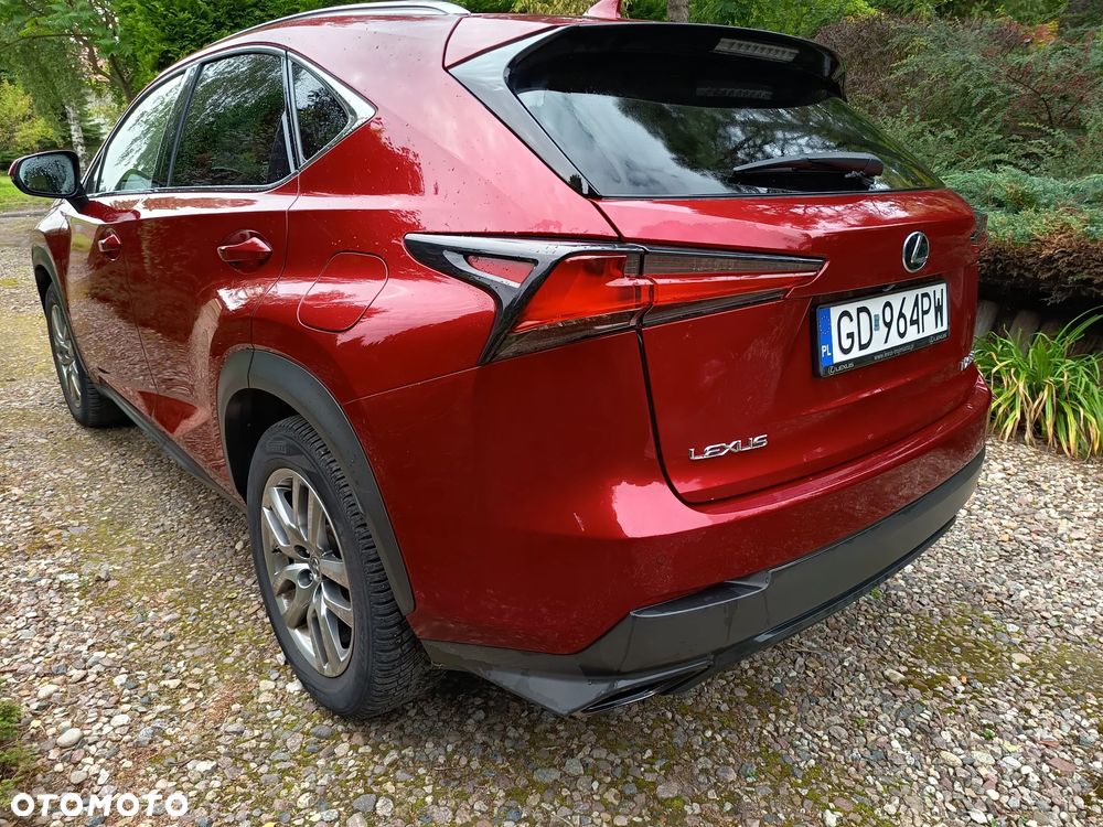 Lexus NX 300 Comfort AWD - 4