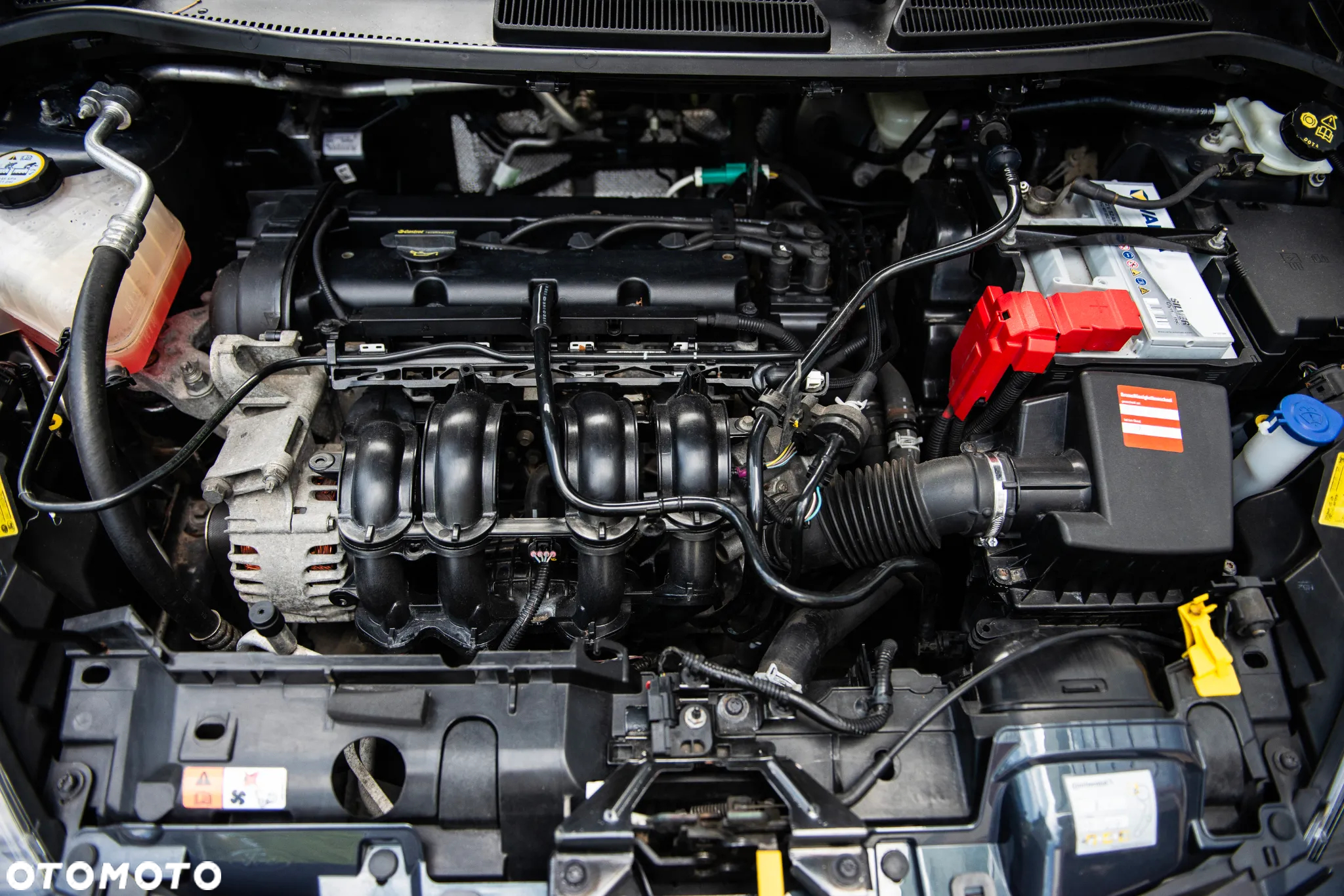 Ford Fiesta 1.25 Celebration - 35