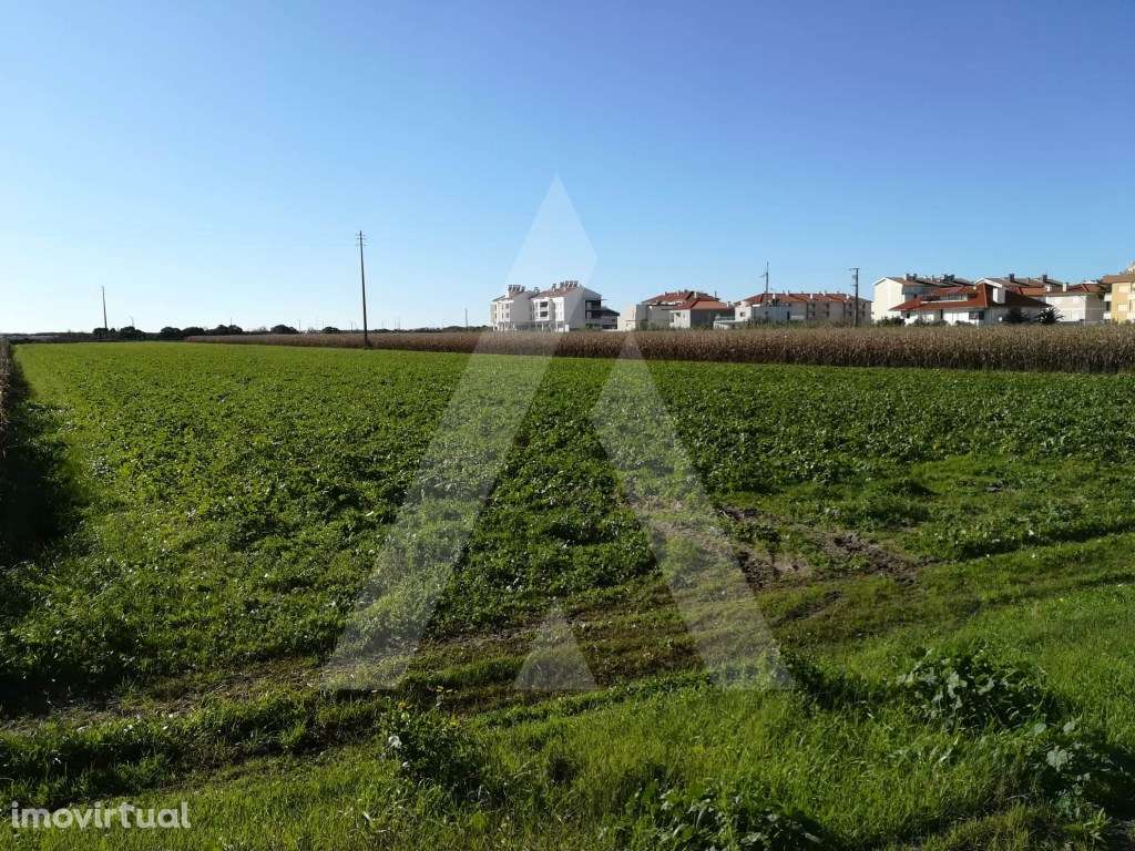 Terreno para construção na Praia da Vagueira - Grande imagem: 3/10