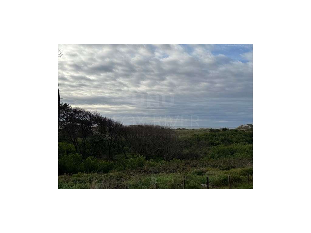 APARTAMENTO T2 + 1 em AMOROSA - CHAFÉ - Grande imagem: 2/23