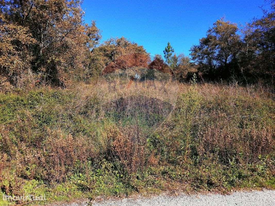 Terreno  para venda - Grande imagem: 5/6