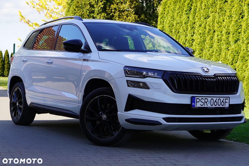 Skoda Karoq - 1