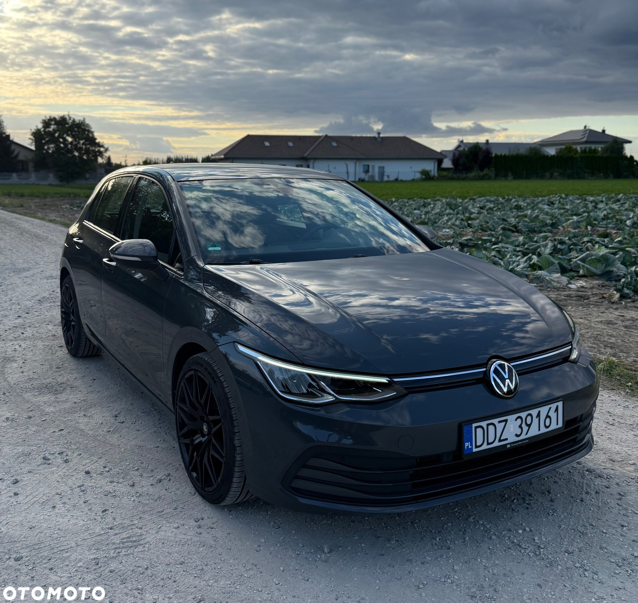 Volkswagen Golf 2.0 TDI SCR DSG Life - 7