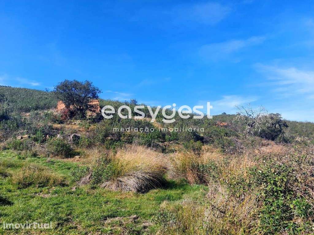 Monte Alentejano para recuperar localizado no concelho de Mértola - Grande imagem: 4/8