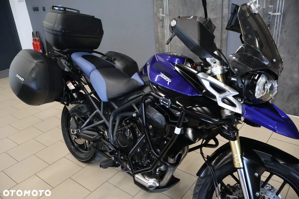 Triumph Tiger - 16