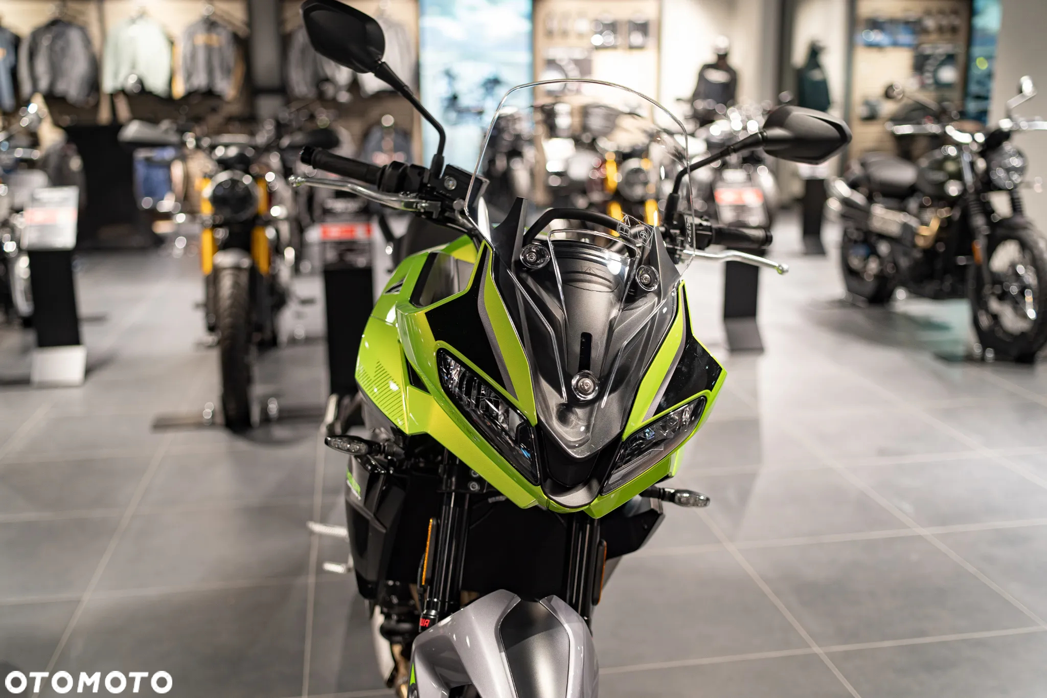 Triumph Tiger - 6