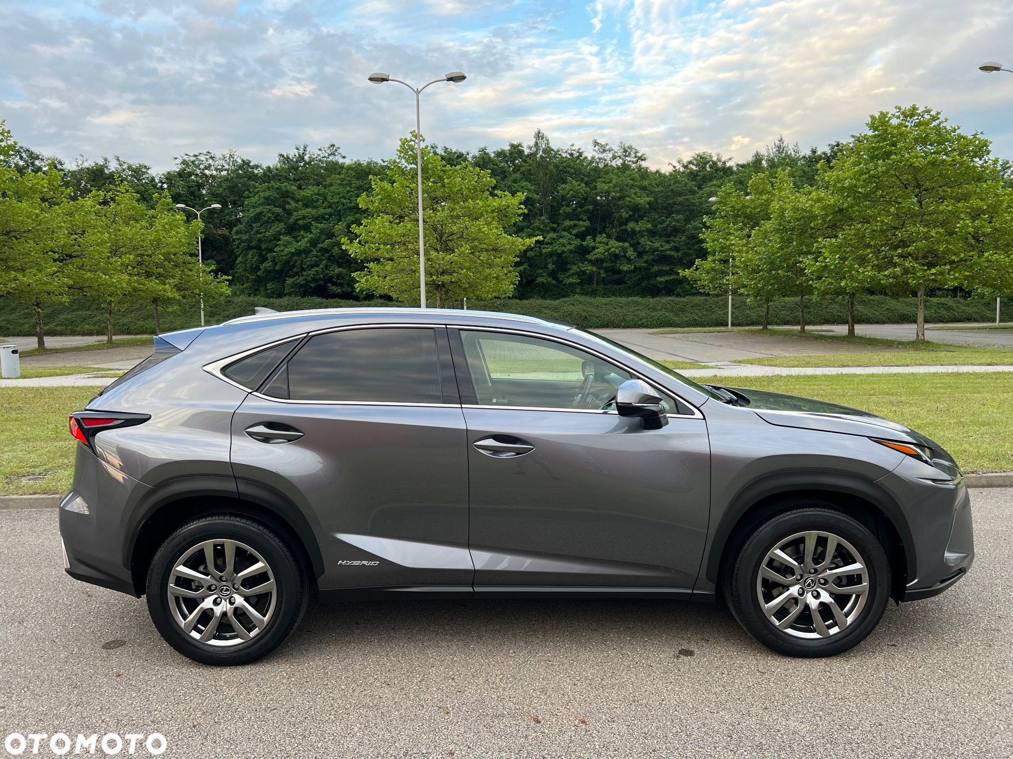 Lexus NX 300h Business Edition AWD - 10