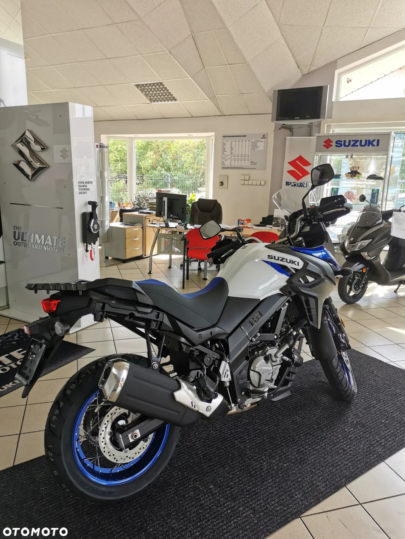 Suzuki DL