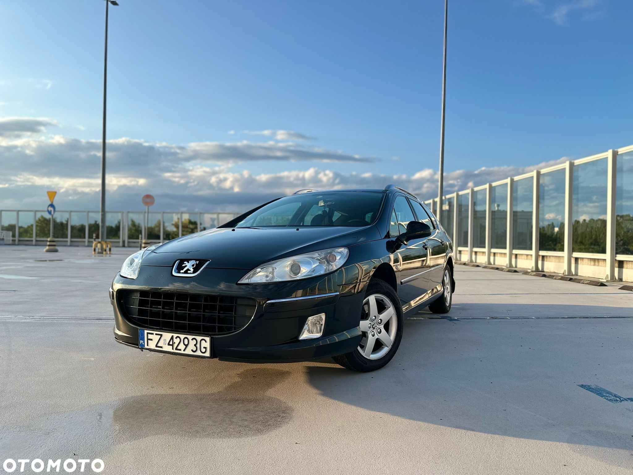 Peugeot 407 - 12