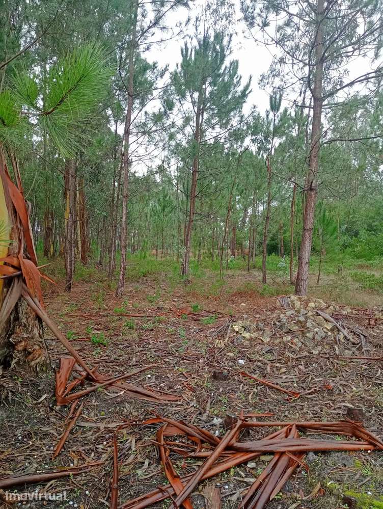 Terreno à venda em Moita, Marinha Grande - Grande imagem: 2/3