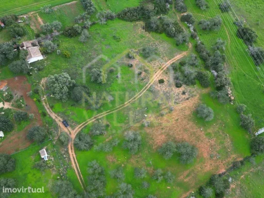 Terreno com Ruína em Mata Lobos, Faro - Grande imagem: 5/9