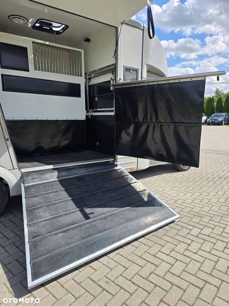 Mercedes-Benz Koniowóz-Sprinter - 22