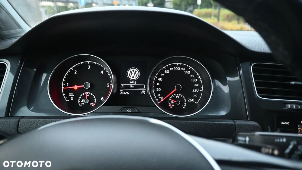 Volkswagen Golf Alltrack 2.0 TDI BMT 4Mot DSG - 35