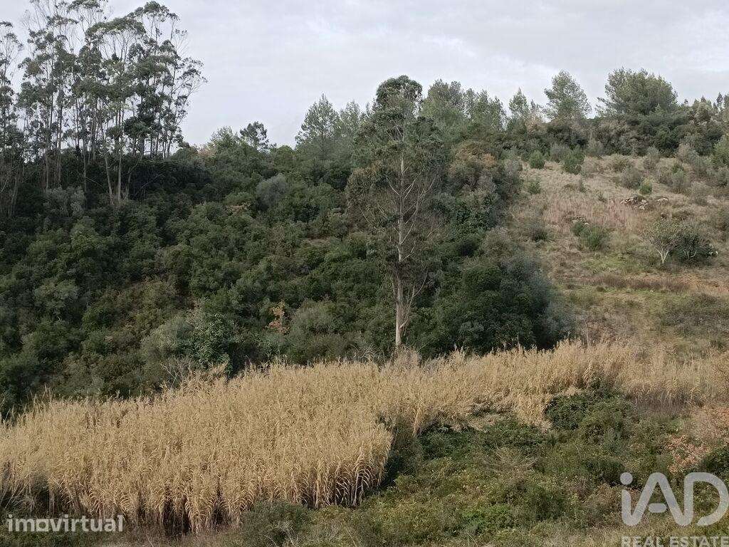 Terreno em Vila Verde dos Francos de 2520,00 m2 - Grande imagem: 3/8