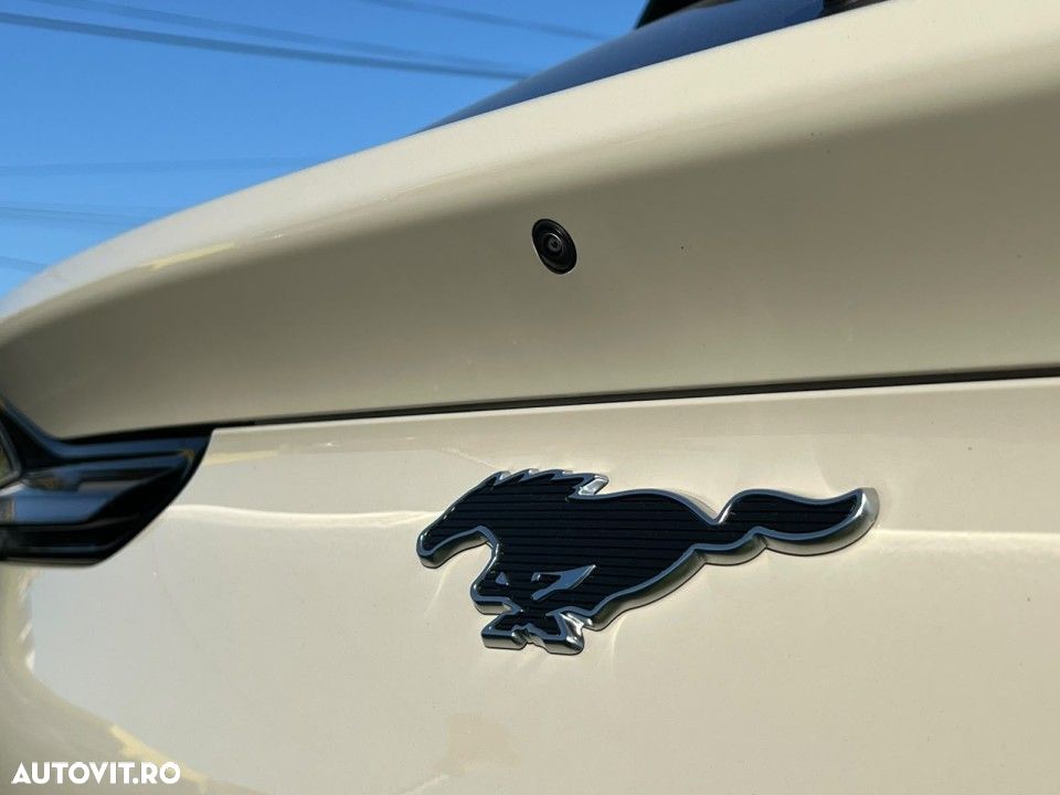 Ford Mustang Mach-E - 19