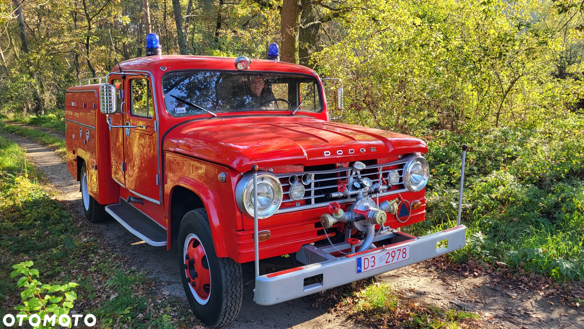 Inny DODGE D500 - 18