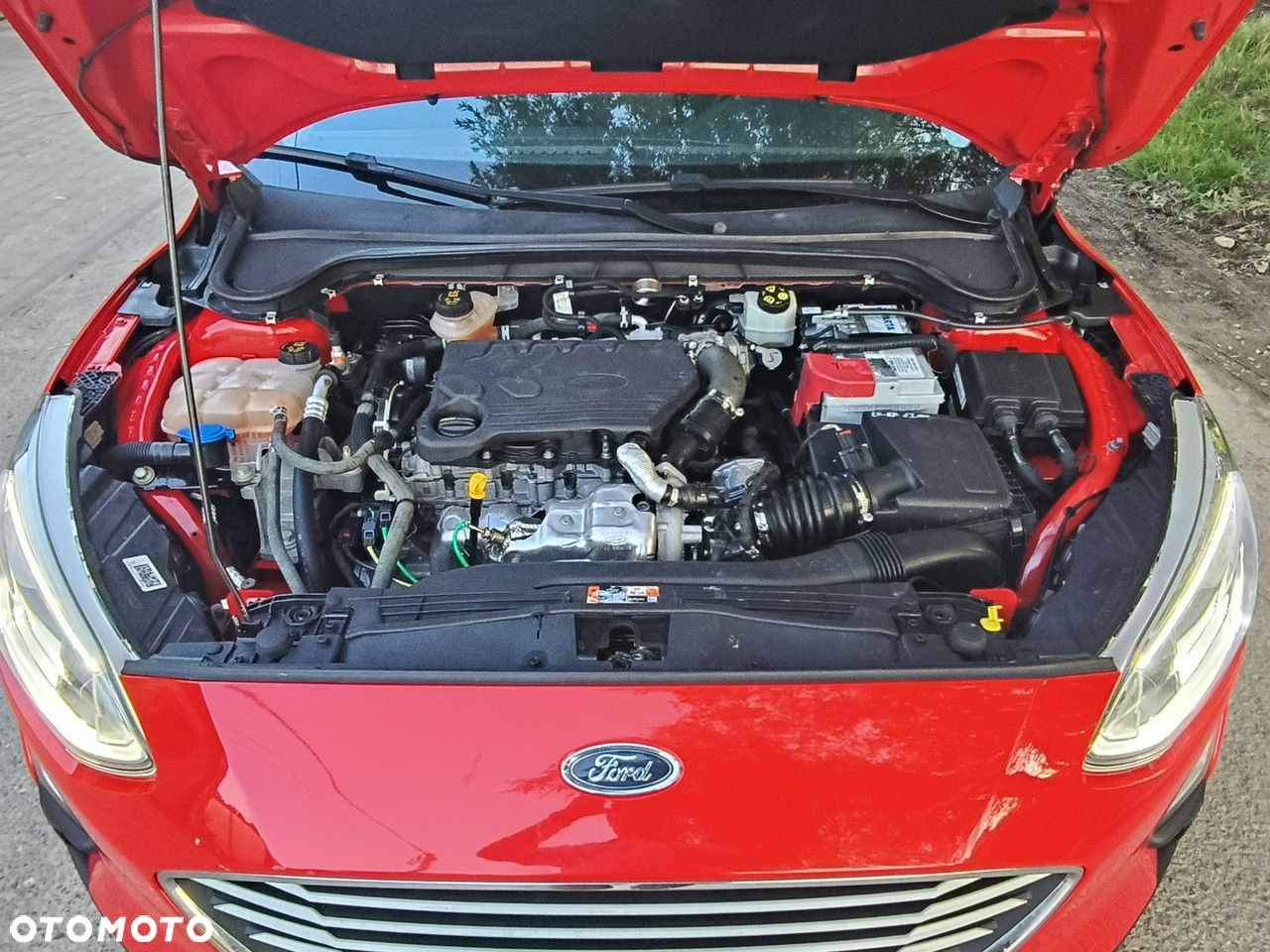 Ford Focus - 21